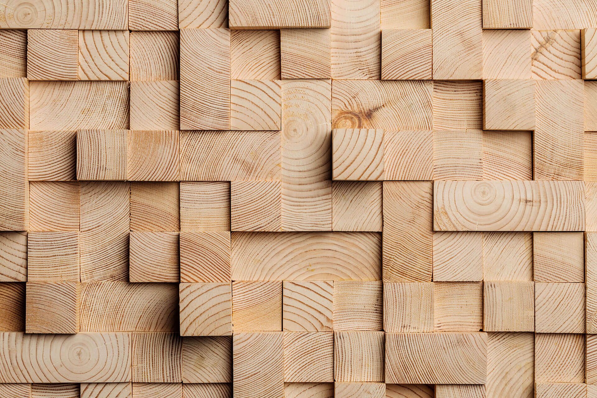 Dein Holz100 Holzhaus - Pohmann Projektplanung und Bauleitung GmbH
