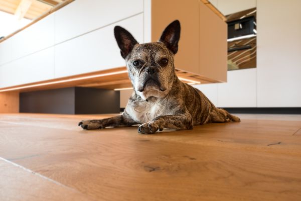 massivholzbau, massivholz, holz100, neubau, einfamilienhaus, efh